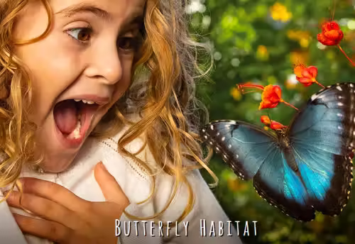 Butterfly Habitat Opening for the Spring Event Image
