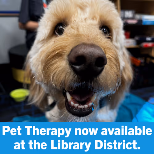 Pet Therapy for Teens Event Image