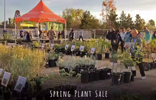 Spring Plant Sale Event Image