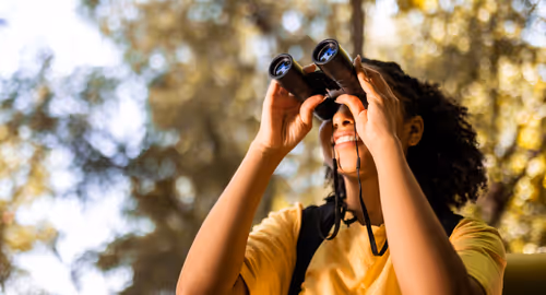 Bird Walks Event Image