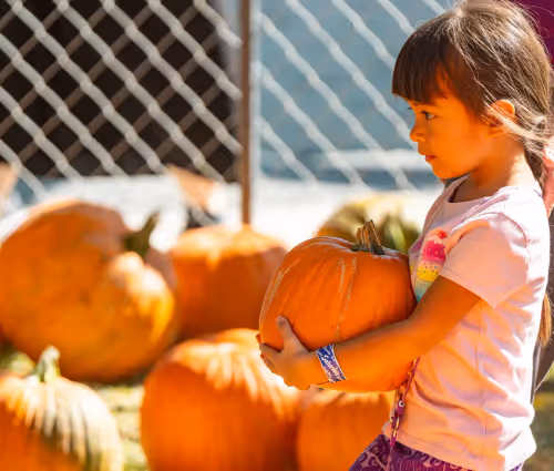 Pumpkin Days - Pahrump Disability Outreach Program Event Image