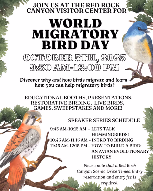 World Migratory Bird Day Event Image