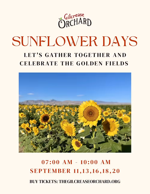 Gilcrease Orchard Sunflower Days Event Image