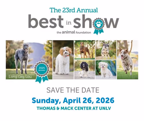 23rd Annual Best in Show Event Image