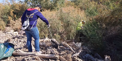 Wetlands: Hands On! April Event Image