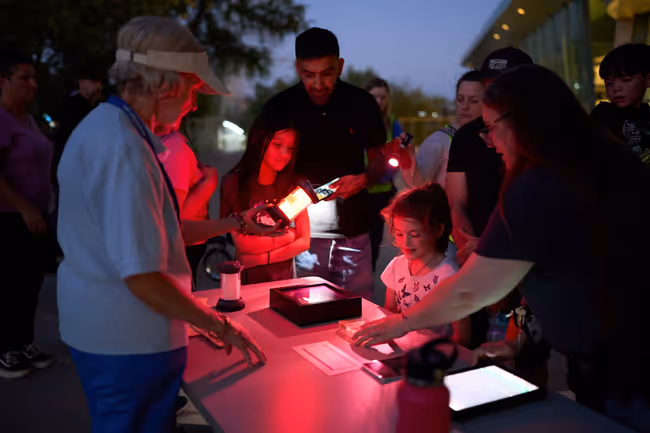 Wetlands Park: Stalking Twilight Event Image