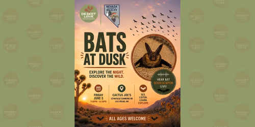 Bats at Dusk: A Nevada Bat Viewing Experience Event Image