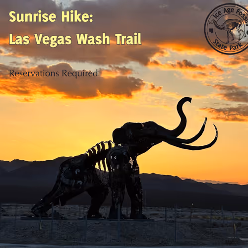 Sunrise Hike: Las Vegas Wash Trail Event Image