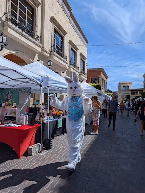 Craft Festival at Tivoli Event Image