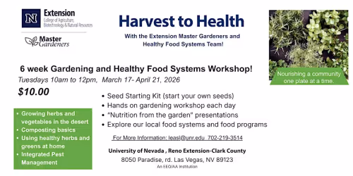 Harvest to Health. A six-week gardening and food systems workshop. Event Image