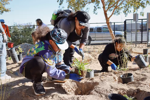 Native Habitat Maintenance at Jaycee Community Park Event Image
