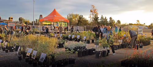 Spring Plant Sale at Springs Preserve Event Image