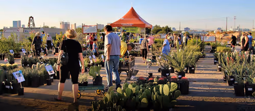 Autumn Plant Sale at Springs Preserve Event Image