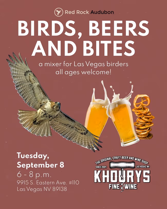 Birds, Beers and Bites Event Image