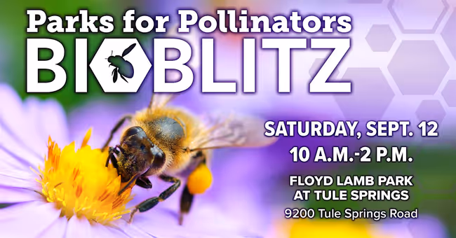 Fourth Annual Parks For Pollinators Bioblitz Event Image