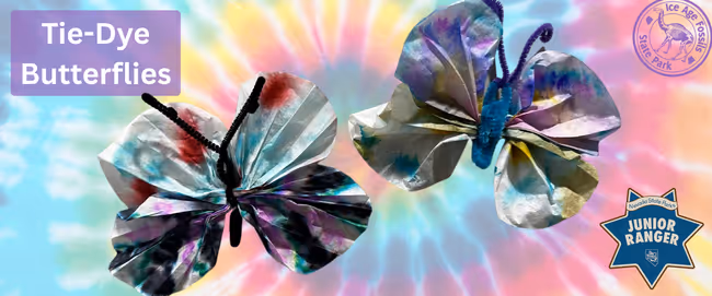 Tie-Dye Butterflies Event Image
