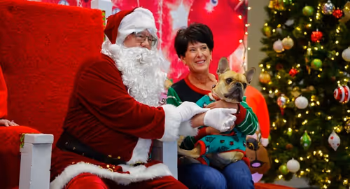 Puppy Pictures with Santa Event Image