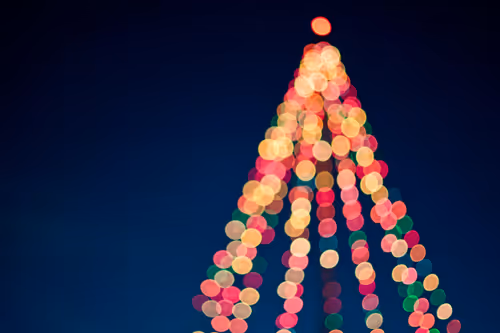 The 5th Annual Holiday Tree Lighting Ceremony Event Image