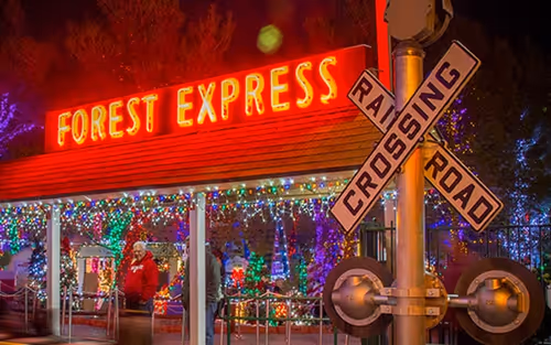 The Magical Forest at Opportunity Village Event Image