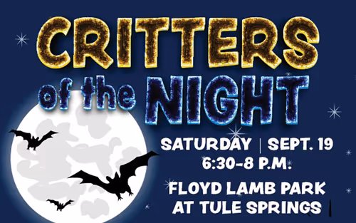 Ward 6 Critters of the Night Event Image
