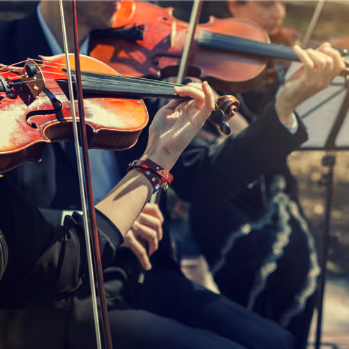 Inside the Orchestra Event Image