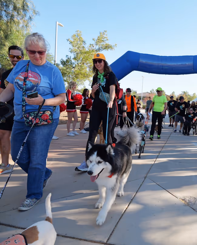 6th Annual Neon Dog Walk Event Image