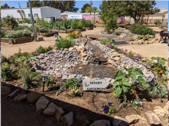 Garden with the Desert Gardeners of the Nevada Garden Clubs Event Image