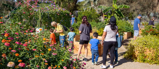 Nevada Day Celebration at Springs Preserve Event Image