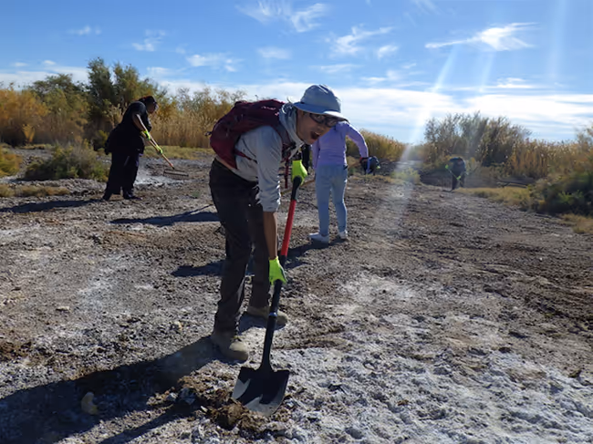 October Wetlands Hands On (WHO) Event Image