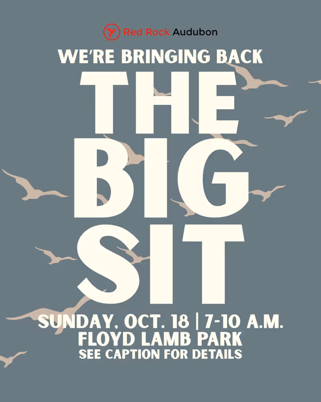 the Big Sit Event Image